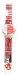 Swatch 27avel Chantun Swatch  -  GZ175