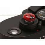 MATCH TECHNICAL "BUG" RED MINI SOFT RELEASE NEW
